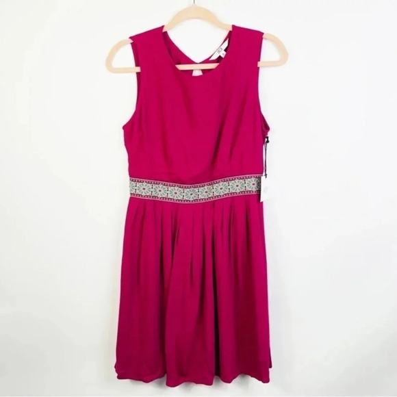 BB DAKOTA‎ JACK Fuchsia Fit And Flare Dress Size Small - Picture 1 of 5